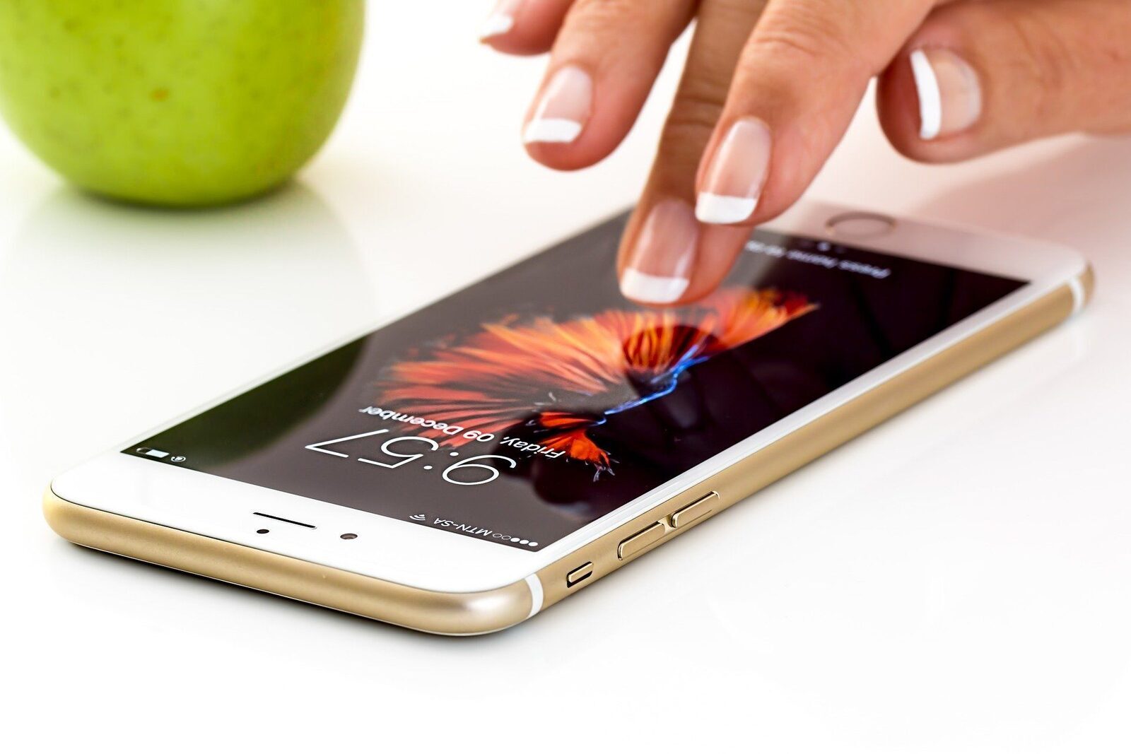 Application Mobile Chien
