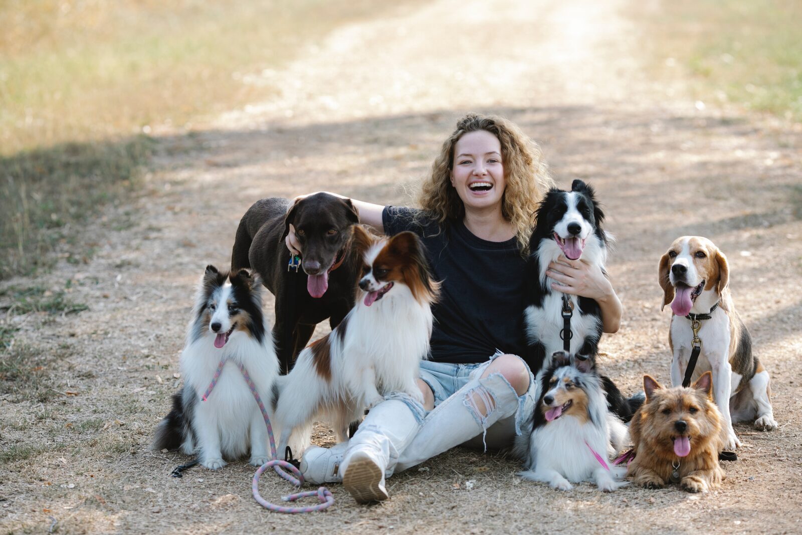 chiens sociables