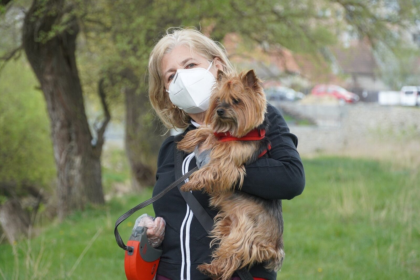 Promener Chien Pandémie